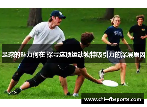 足球的魅力何在 探寻这项运动独特吸引力的深层原因