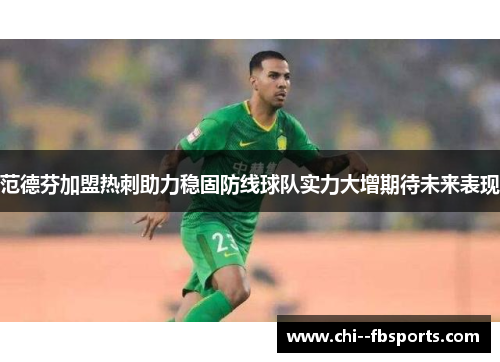 范德芬加盟热刺助力稳固防线球队实力大增期待未来表现